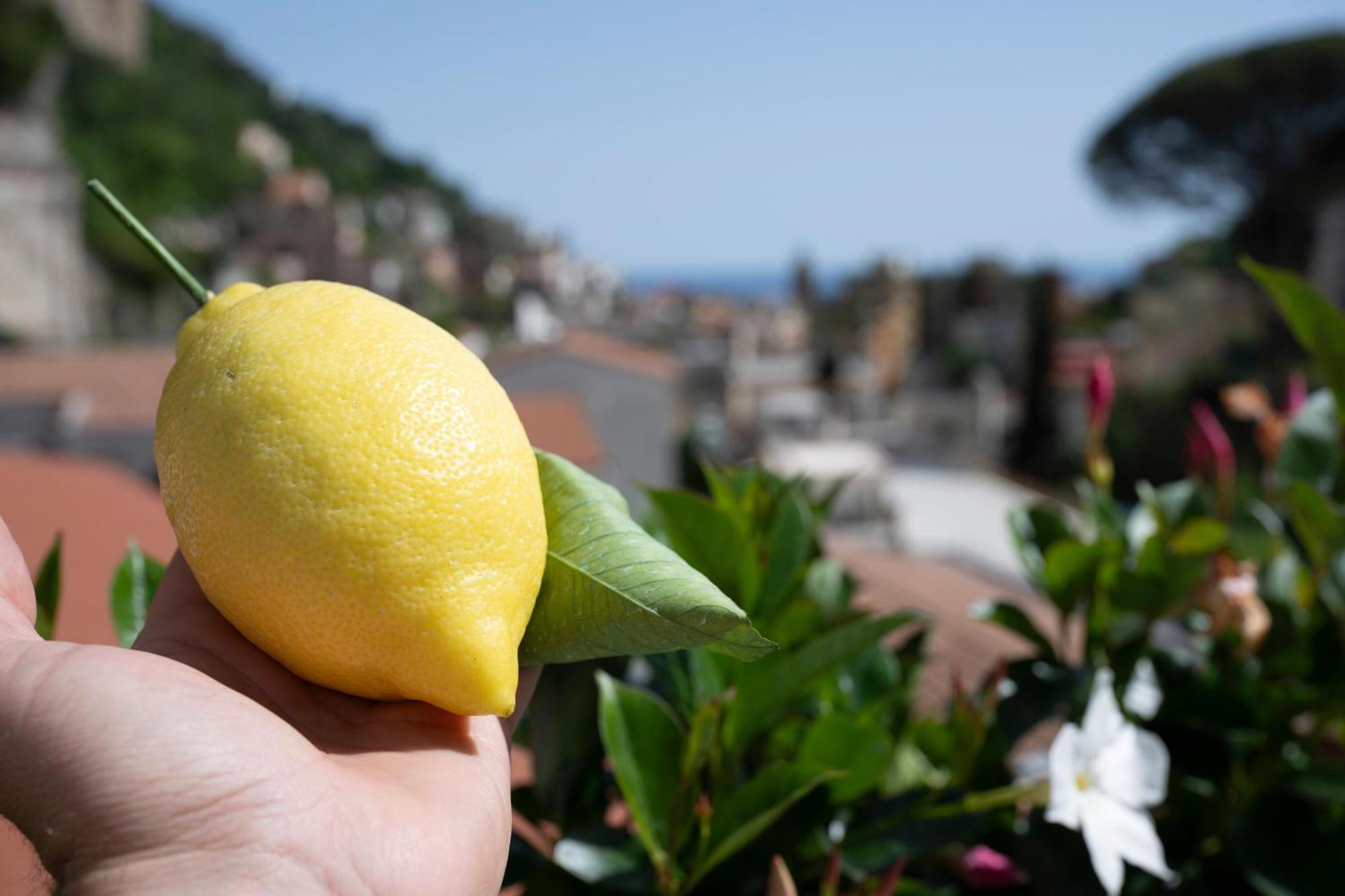 Valle D'Amalfi Suites Exteriér fotografie